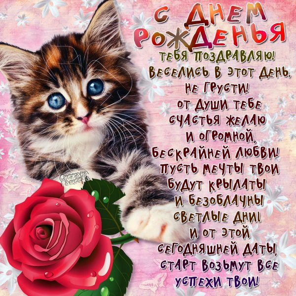 Стихи с днём рождения
