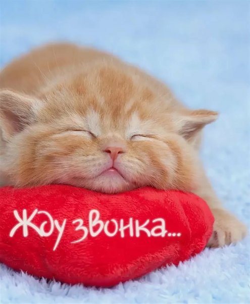 Я скучаю по тебе