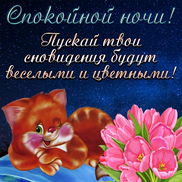 Пожелания доброй ночи