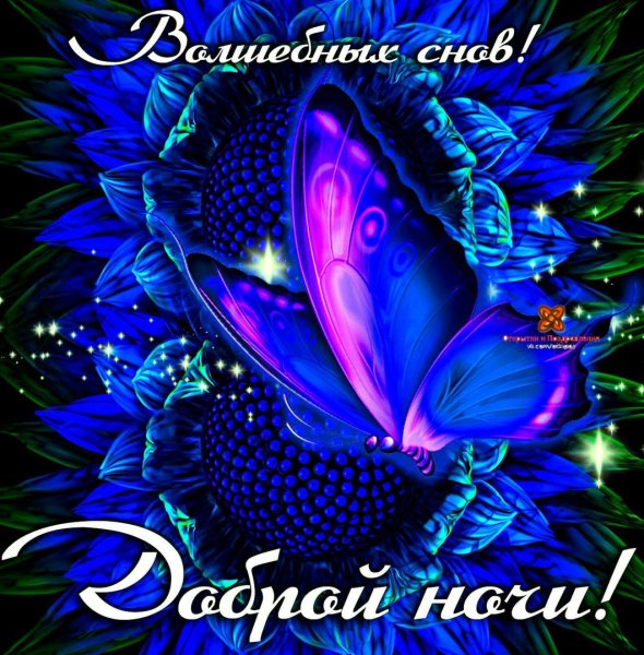 Прекрасная ночь