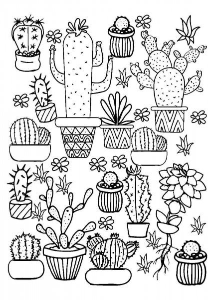 Раскраски антистресс кактусы