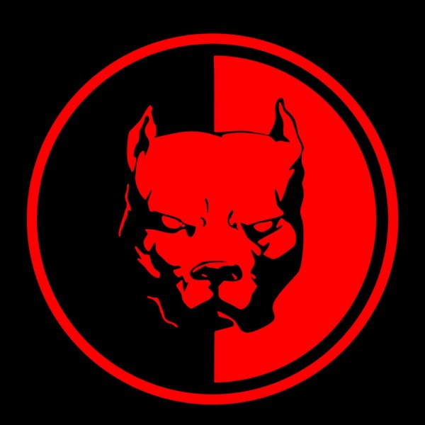 Питбуль значок