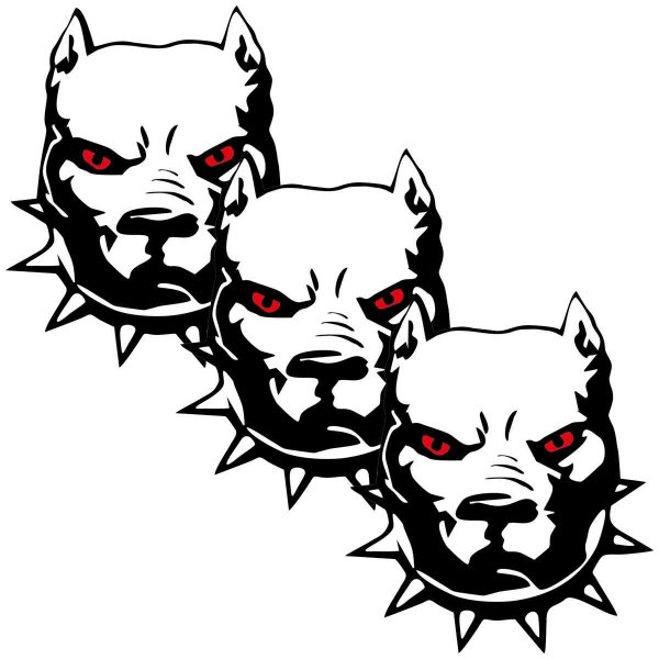 Голова питбуля