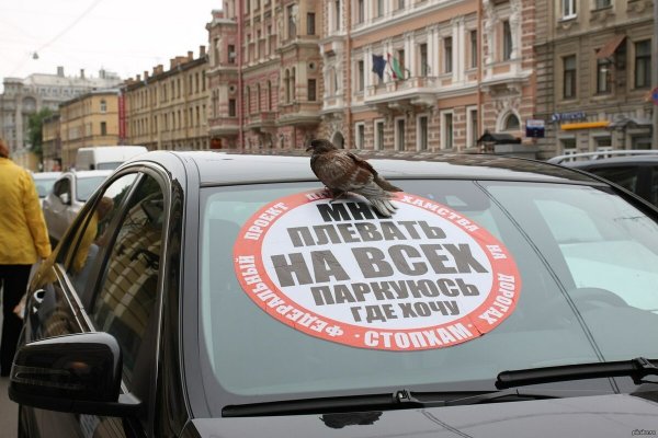 СТОПХАМ фото