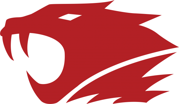 IBUYPOWER CS go logo