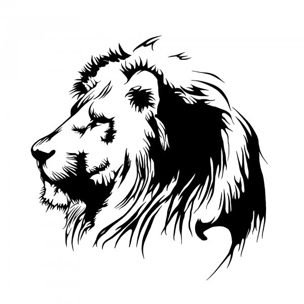 Лев в профиль