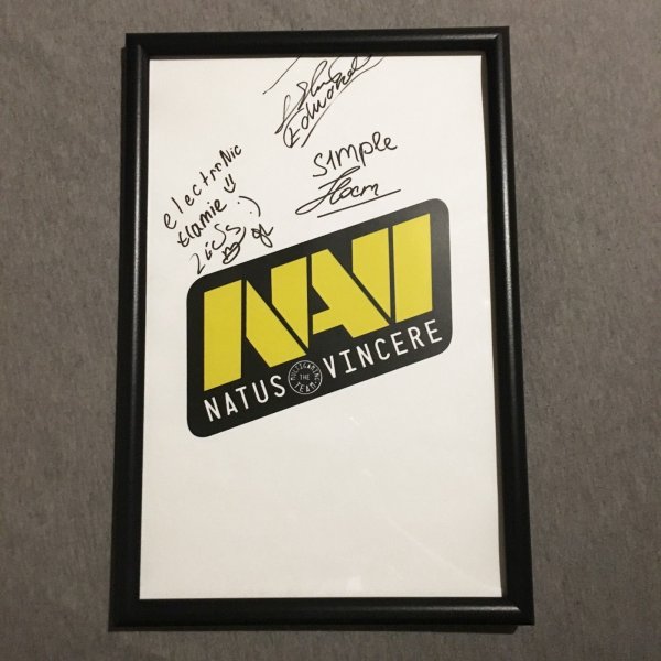 Шарф Natus Vincere