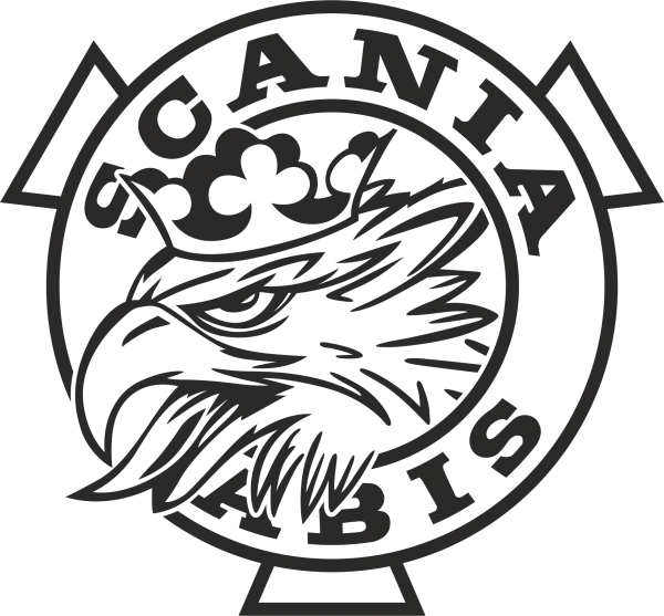 Внутренняя наклейка Скания