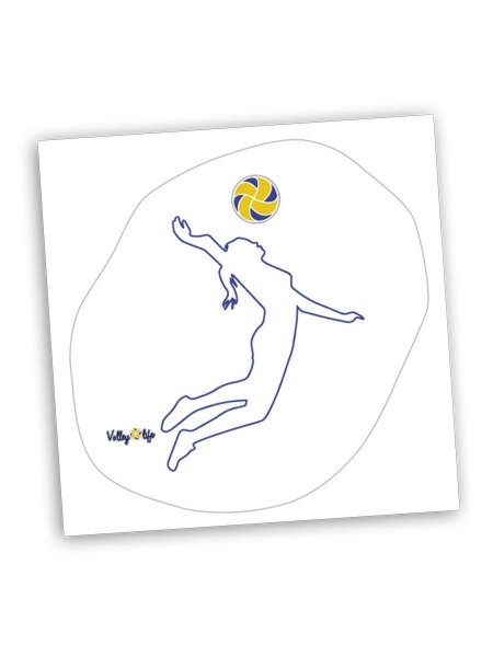 Волейбол черно белые