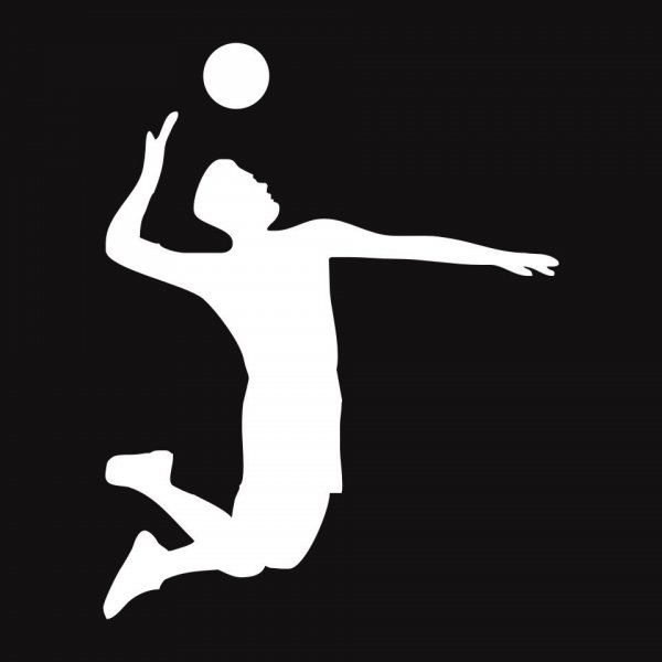 Волейбольная наклейка на авто