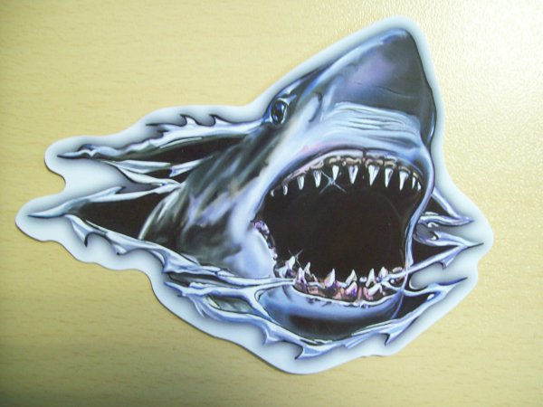 Акула злая наклейка