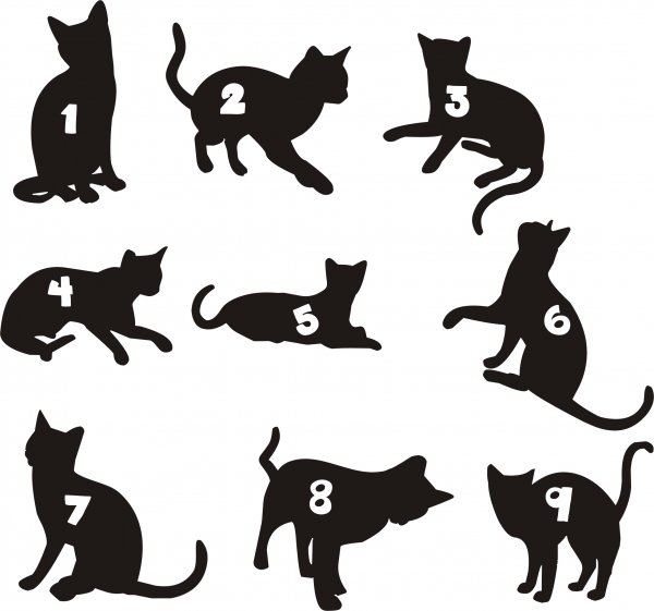 Наклейки коты