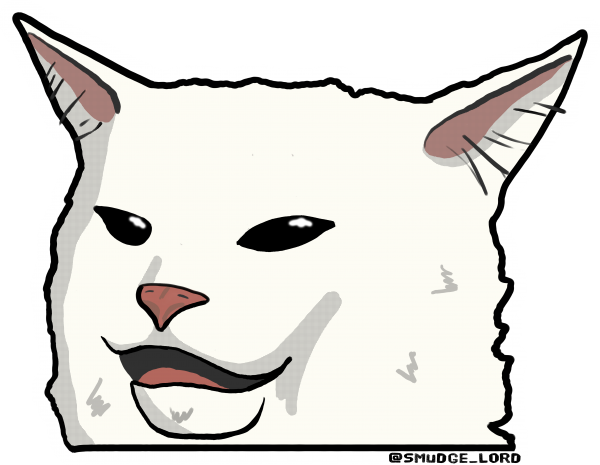 Белый кот из мемов