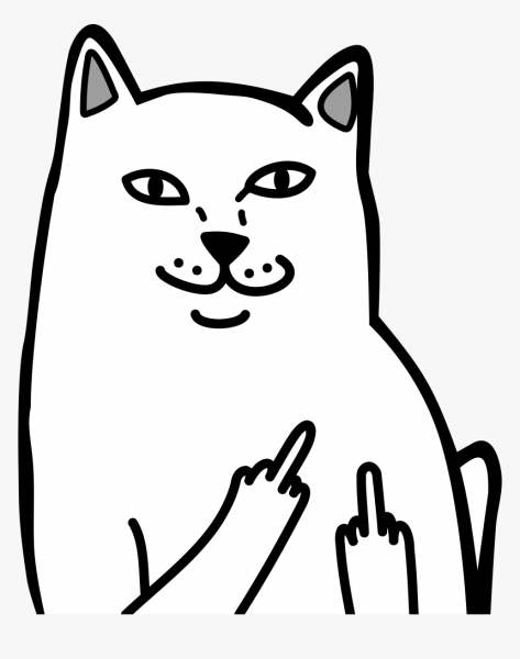 Кот с факом наклейка