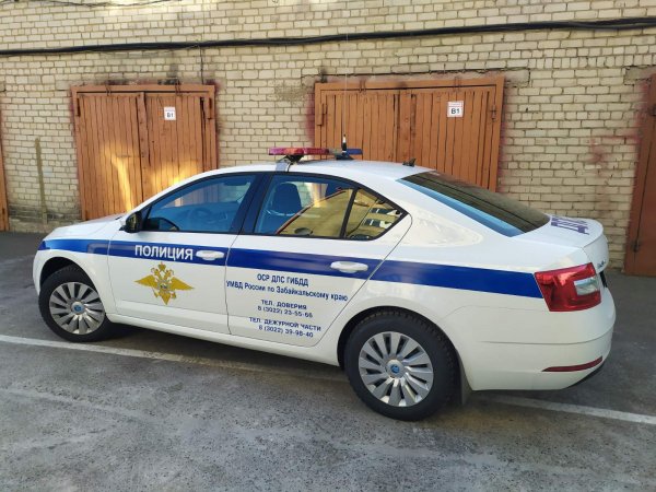 Дверь полицейской машины