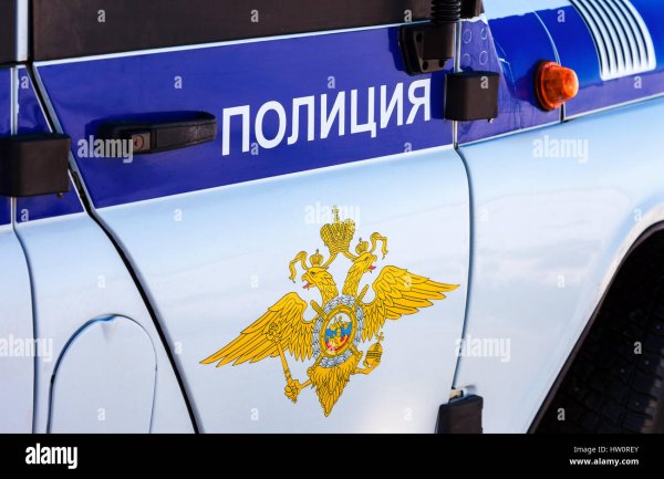 Надпись на полицейской машине