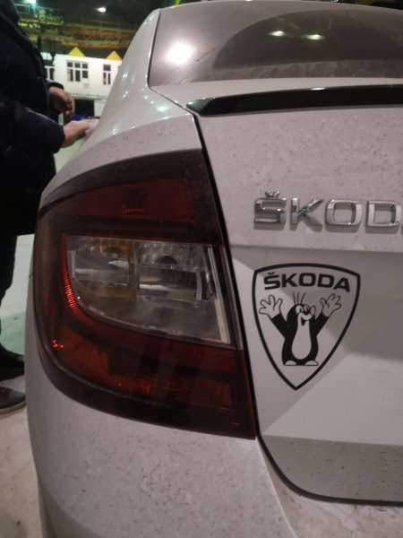 Наклейка школа Октавия