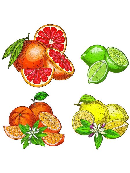 Магниты «фрукты»