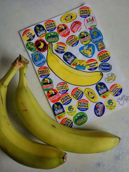 Фирмы производители бананов