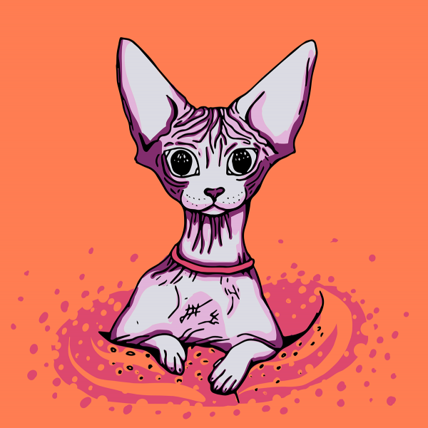 Стикеры кошка сфинкс