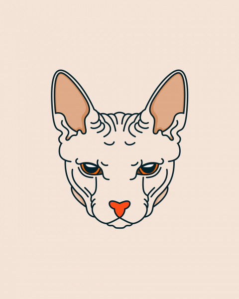 Стикеры кот сфинкс