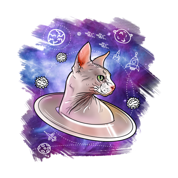 Котик сфинкс в космосе арт