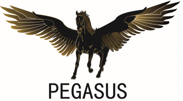 Пегас логотип вектор