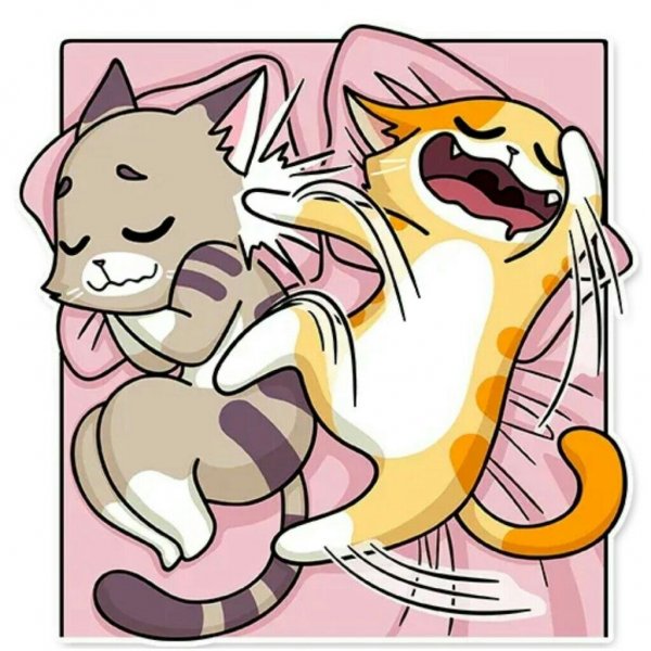 Стикеры телеграмм Katie Cat