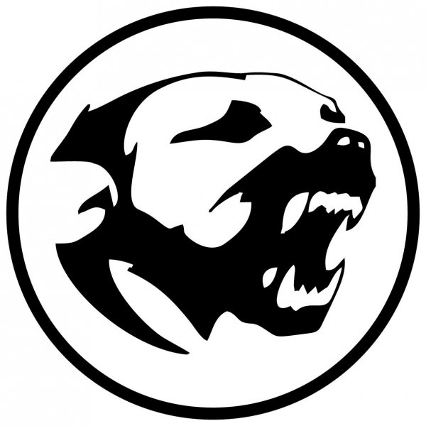 Эскизы наклеек на автомобиль