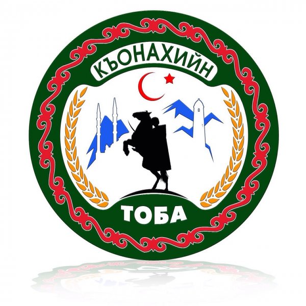 ФК Терек Грозный логотип