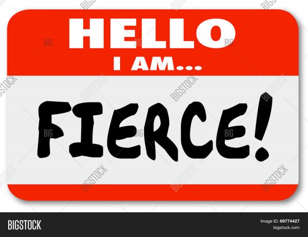 Чечня флаг и герб