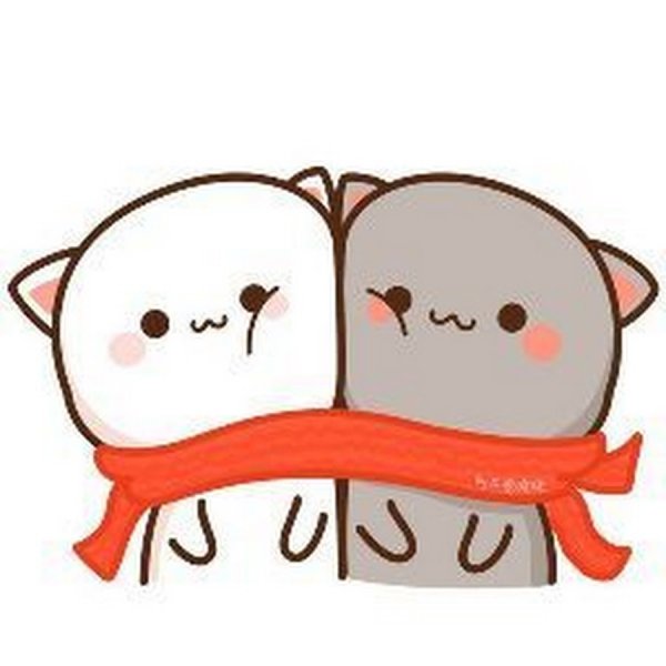 Кавайные котики любовь