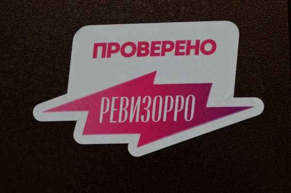 Ревизорро логотип