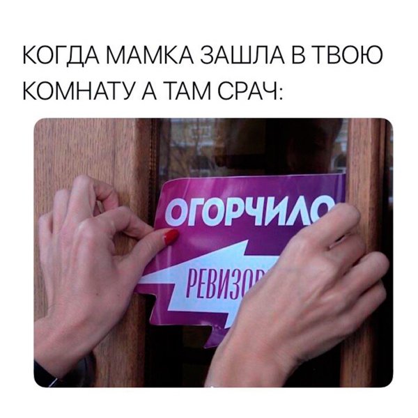 Стикер огорчило Ревизорро