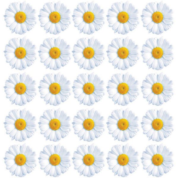 Ромашки для вырезания цветные