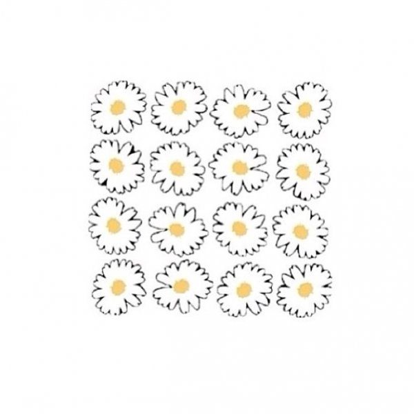 Полевые цветы на прозрачном фоне