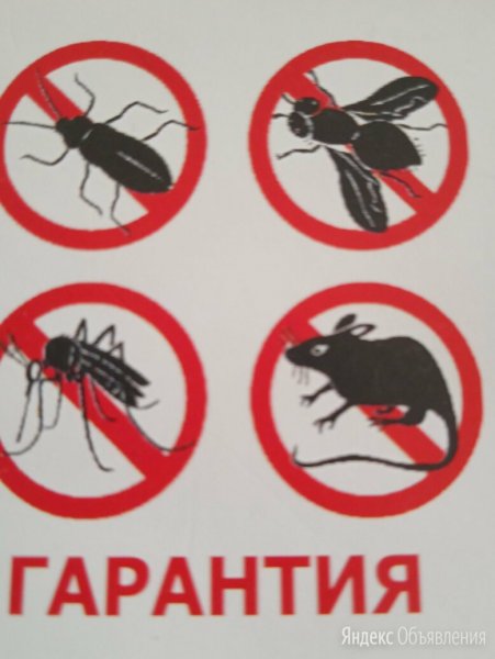 Дезинсекция лого