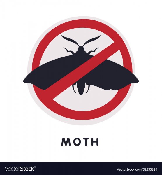 СТОПКЛЕЩ дифломайт. СК приготовление