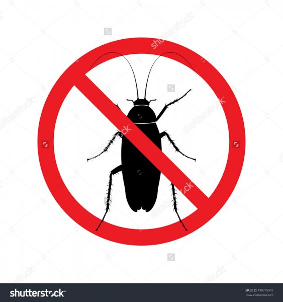 Дезинсекция девиз