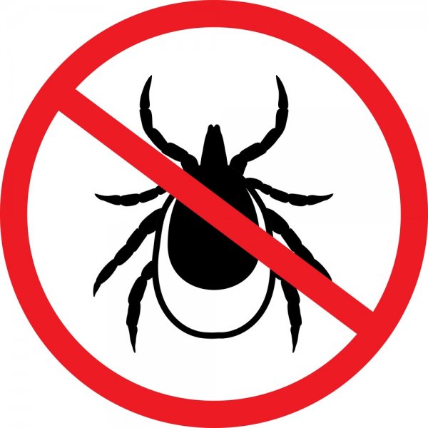 Знак без животных