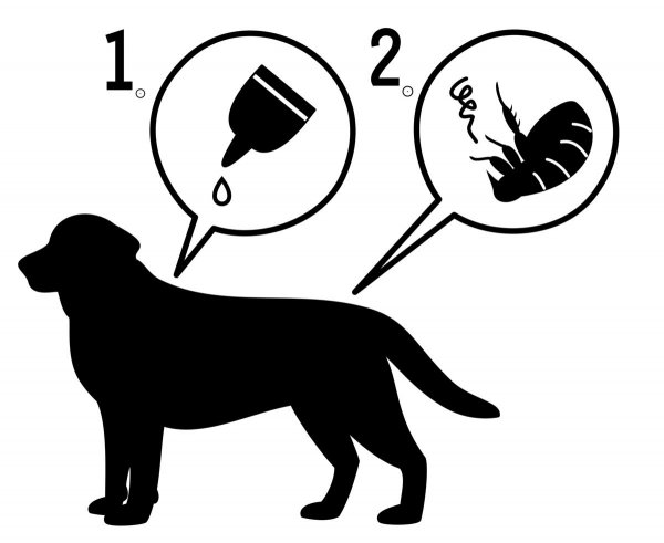 Антифашистские трафареты