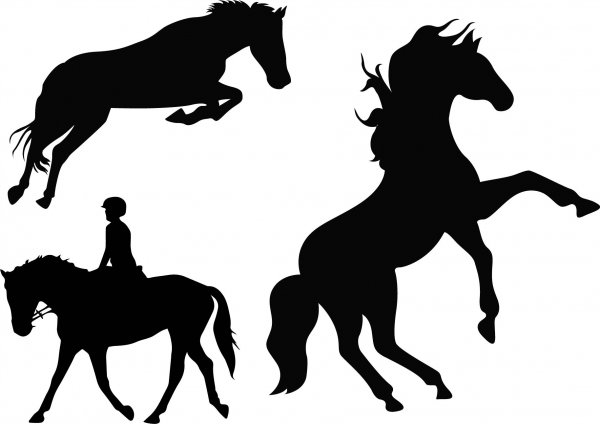 Стикеры лошади