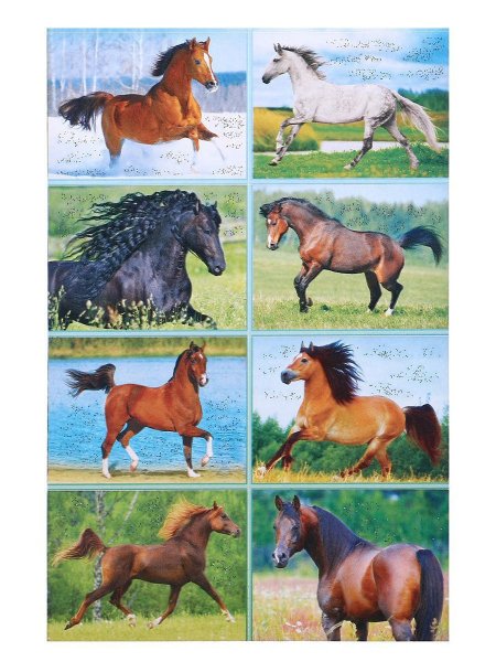 Наклейки конь цветной