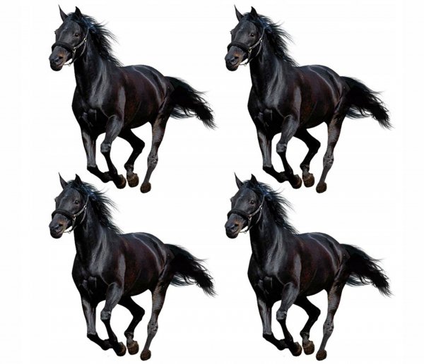 Геометрия Мустанг лошадь