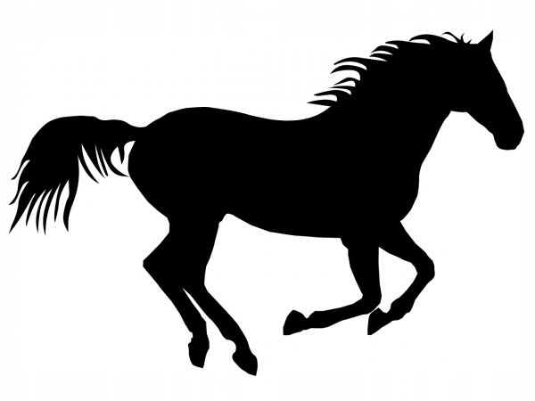 Стикер конь