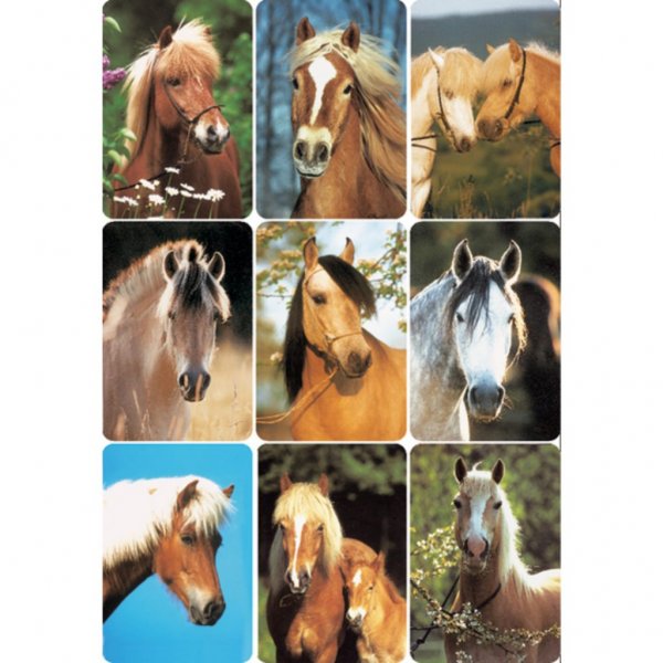 Наклейки лошади маленькие