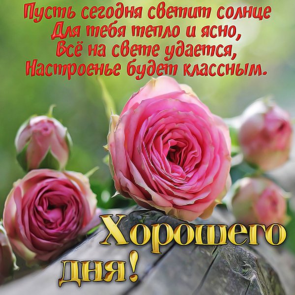 Хорошего дня и отличного настроения