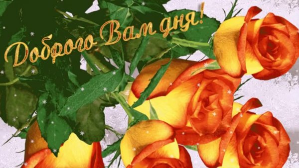 Добрый день анимация