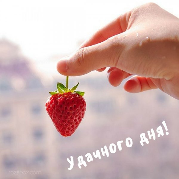 Удачного дня