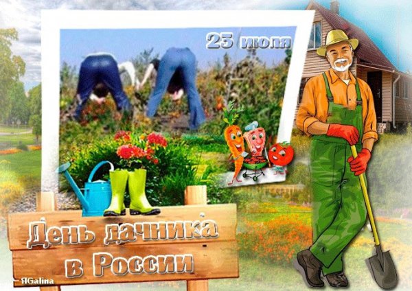 С днем дачника поздравления